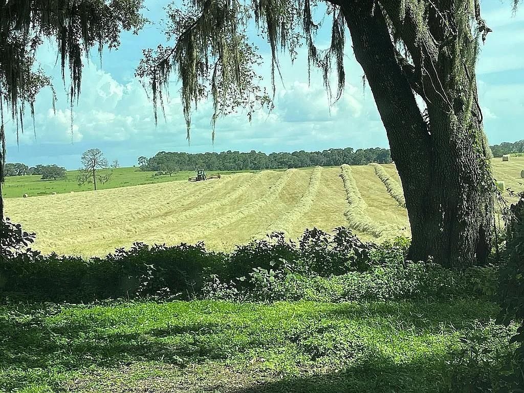 3622 E Whirlwind, Floral City, FL 34436 Photo