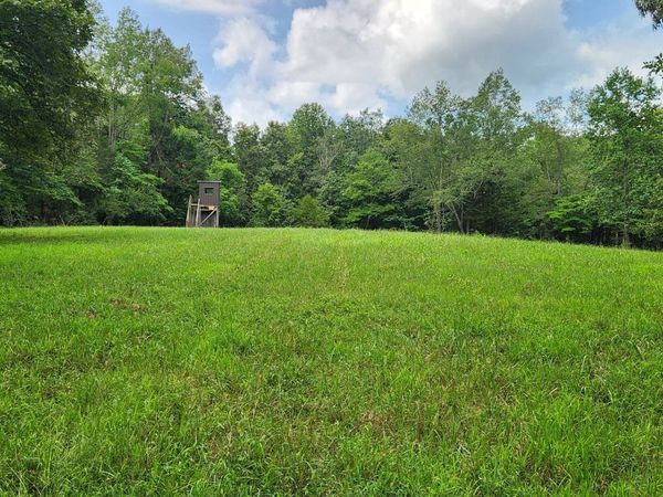 0 E Haleys Creek Rd, Centerville, TN 37033