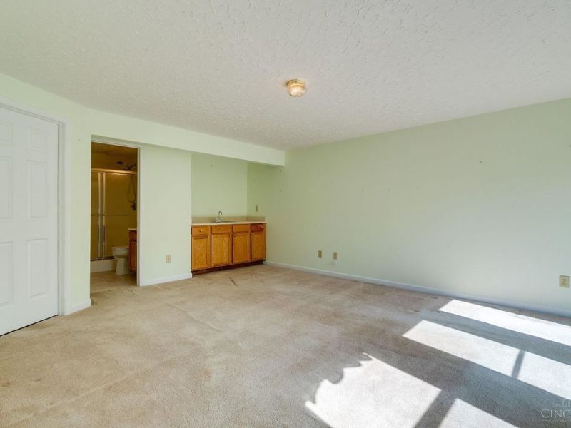3409 Kleeman Lake Court, Cincinnati, OH 45211 Photo 43