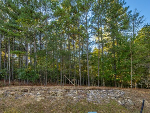 0 River Bluffs Drive, Jasper, TN 37347