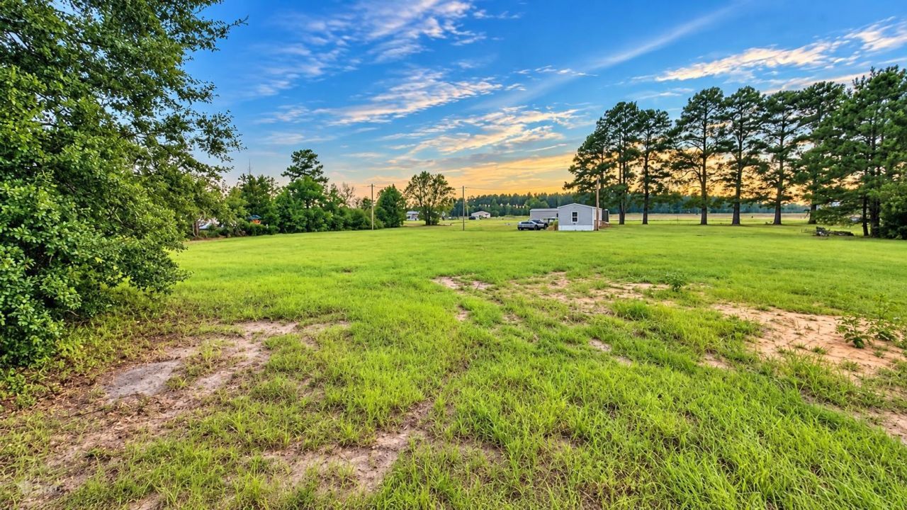 3029 Ino Dr.  Photo 4