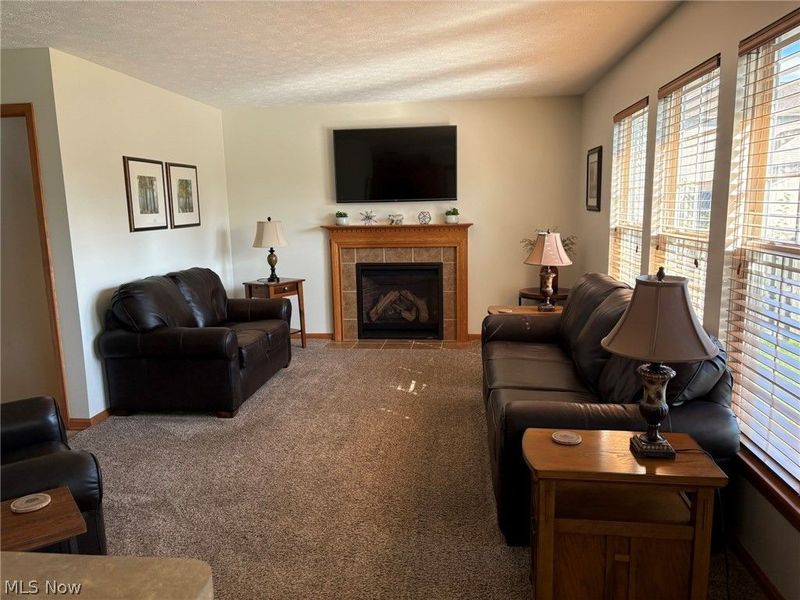 203 Rivers Edge Drive, Amherst, OH 44001 Photo 4