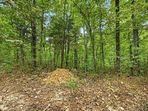 0 Timber Ridge Lane , Unit 20, Celina, TN 38551