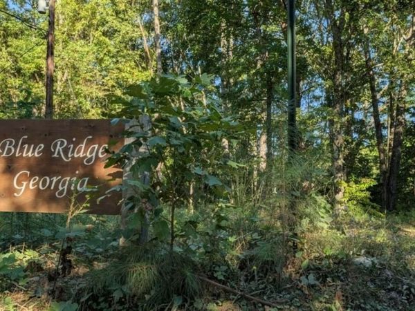 LOT 1 White Oak Circle, Blue Ridge, GA 30513