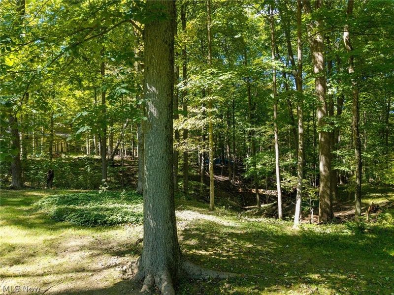 3919 Yellow Creek Road W, Akron, OH 44333 Photo 4