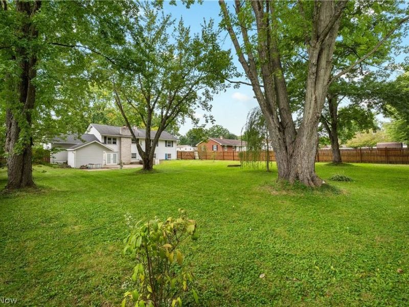 1451 Mishler Street NE, Alliance, OH 44601 Photo 29