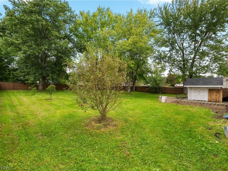 1451 Mishler Street NE, Alliance, OH 44601 Photo 30