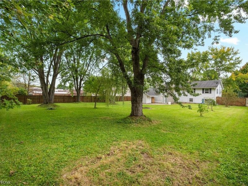1451 Mishler Street NE, Alliance, OH 44601 Photo 31