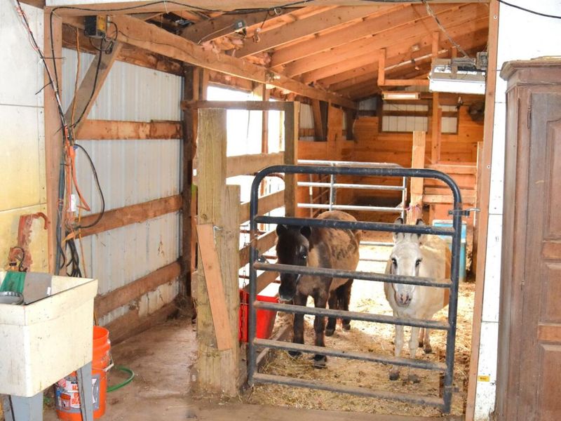 6440 E Miami Shelby Road, Fletcher, OH 45326 Photo 80