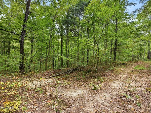 Lot 20 Timber Ridge Lane , Celina, TN 38551
