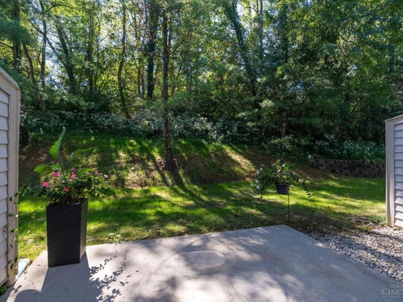 6559 Silverfox Drive, Cincinnati, OH 45230 Photo 32