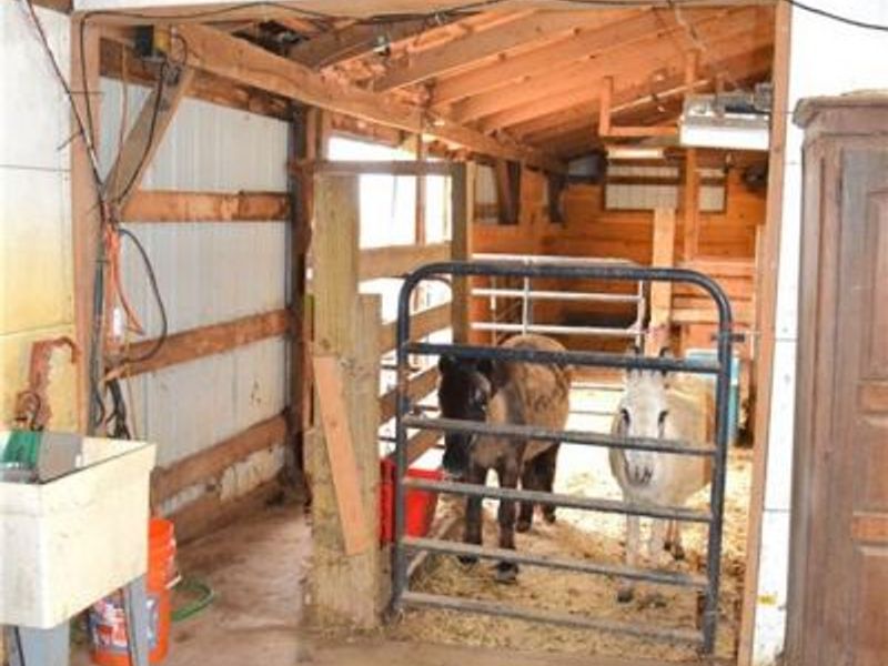 6440 E Miami Shelby Road, Fletcher, OH 45326 Photo 73