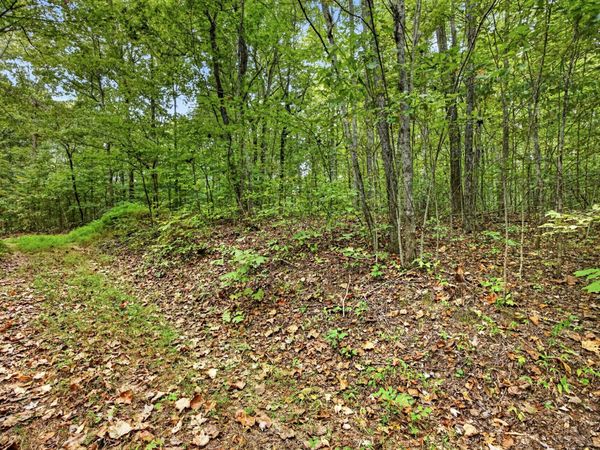 0 Timber Ridge Lane , Unit 21, Celina, TN 38551
