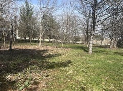 Main Photo
