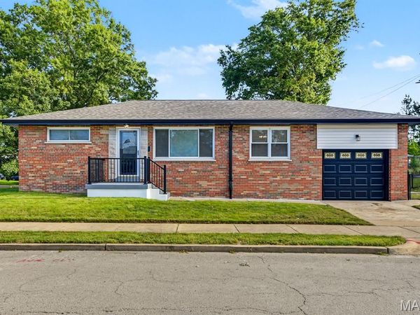 4107 Robert Avenue , St Louis, MO 63116