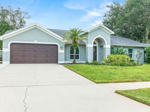 12417 WINDSWEPT AVENUE , RIVERVIEW, FL 33569