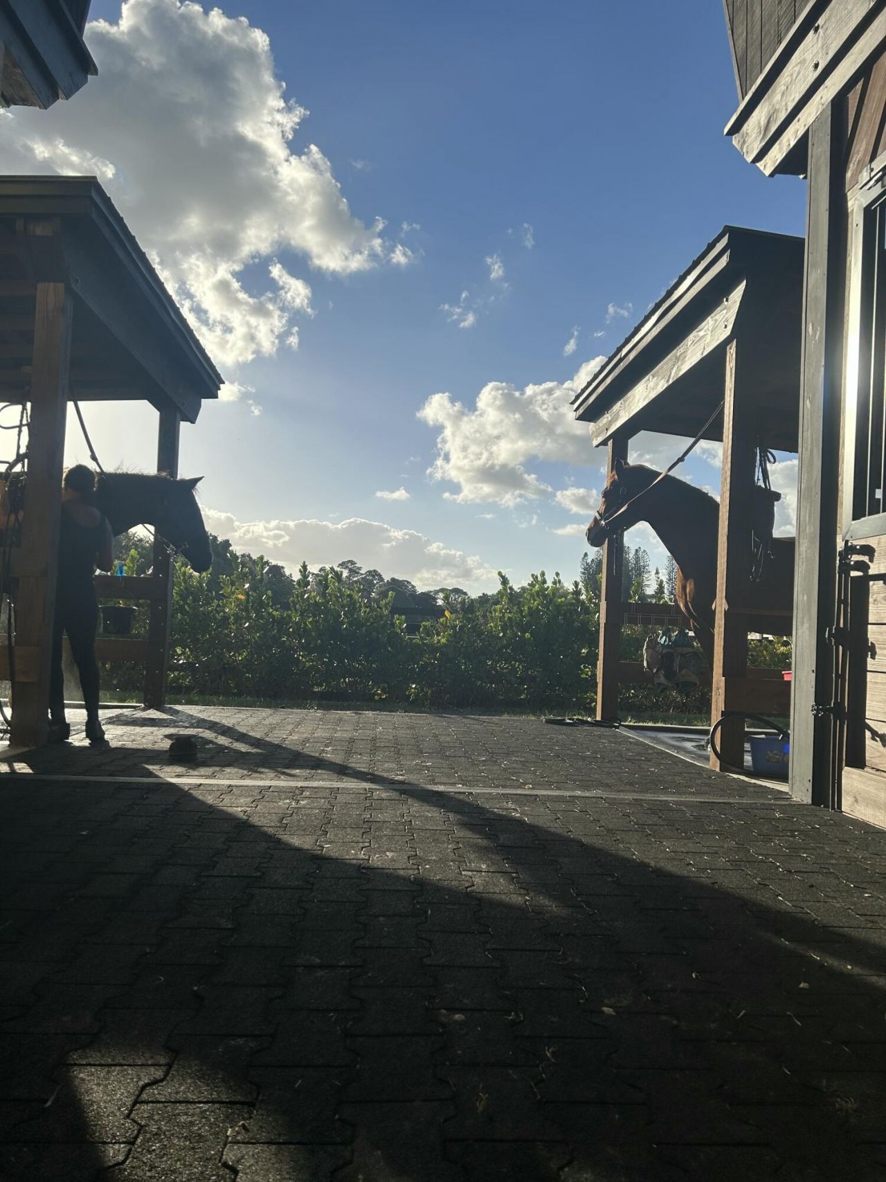 15317 Collecting Canal Road, Loxahatchee Groves, FL 33470 Photo