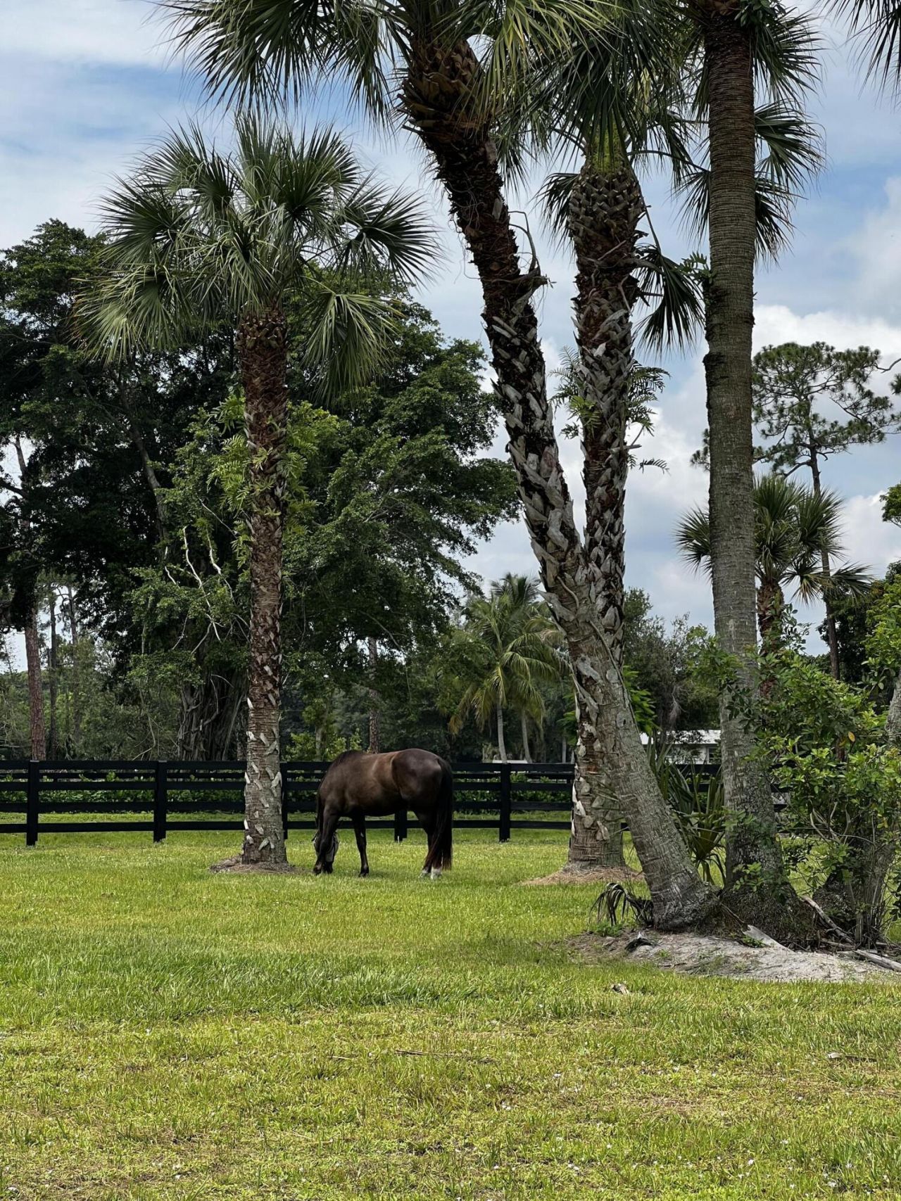 15317 Collecting Canal Road, Loxahatchee Groves, FL 33470 Photo