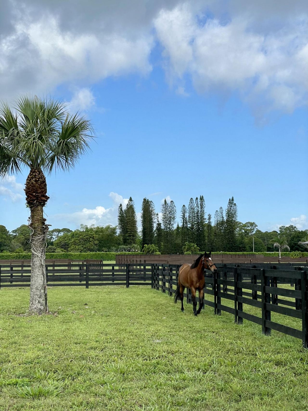 15317 Collecting Canal Road, Loxahatchee Groves, FL 33470 Photo