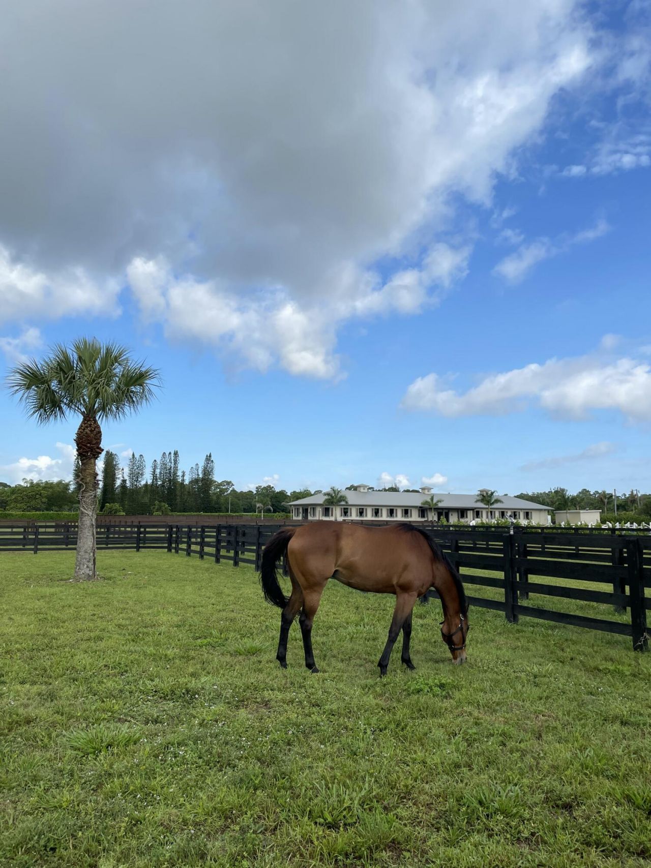 15317 Collecting Canal Road, Loxahatchee Groves, FL 33470 Photo