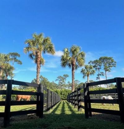 15317 Collecting Canal Road, Loxahatchee Groves, FL 33470 Photo
