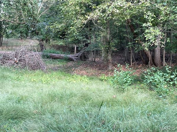 0 River Road , Piedmont, MO 63957