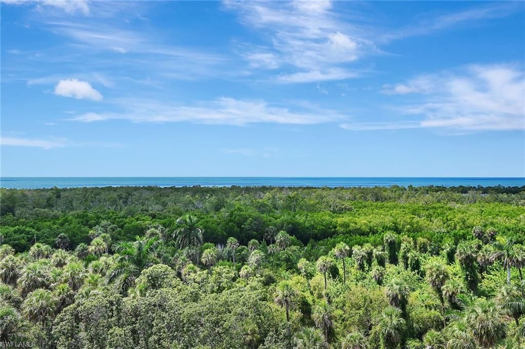 6573 Marissa Loop, Unit 703, Naples, FL 34108 Photo