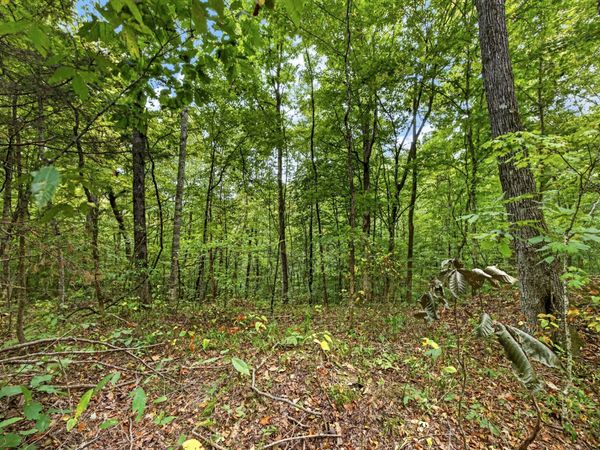 0 Timber Ridge Lane , Unit 23, Celina, TN 38551