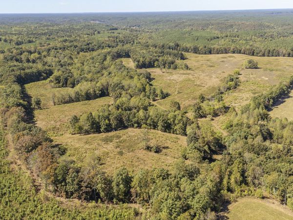 0 Bevis Ridge RD , Cypress Inn, TN 38452