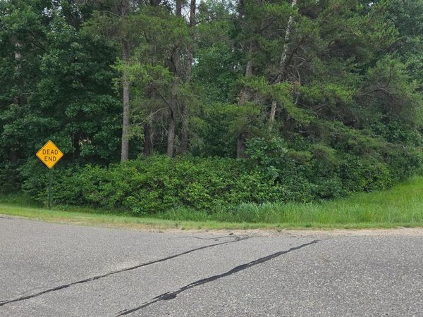 7614 Azalea Road , Pillager, MN 56473
