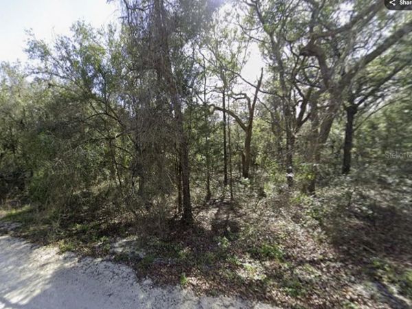 34086 ARROWROCK STREET , WEBSTER, FL 33597