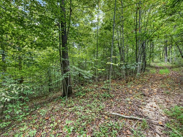 0 Timber Ridge Lane , Unit 25, Celina, TN 38551