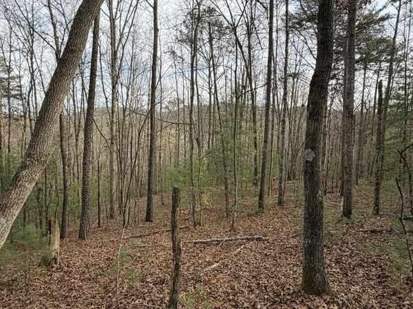 83 Acres Cutcane Road, Mineral Bluff, GA 30559