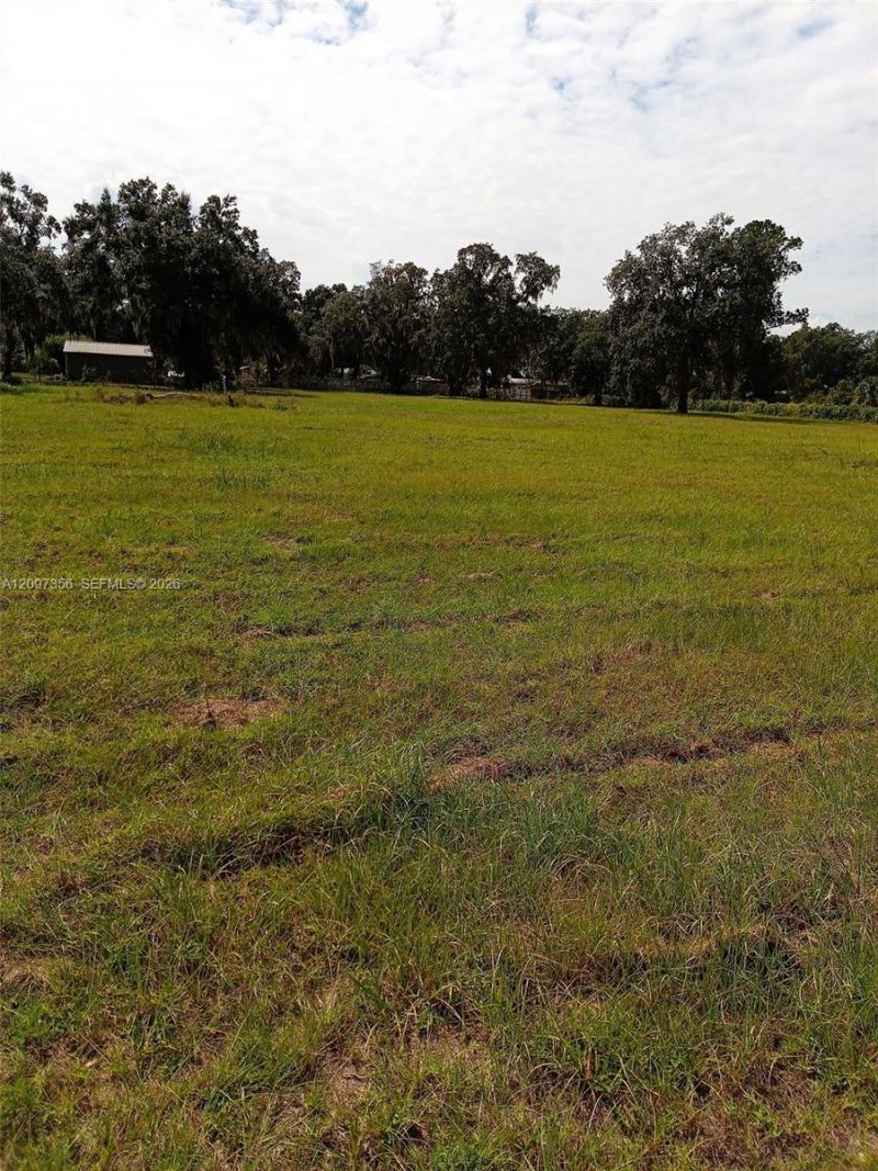 0000 Hickory Hollow Rd , Leesburg, FL 34748 Photo