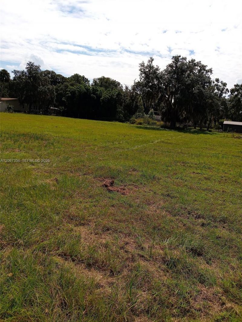 0000 Hickory Hollow Rd , Leesburg, FL 34748 Photo