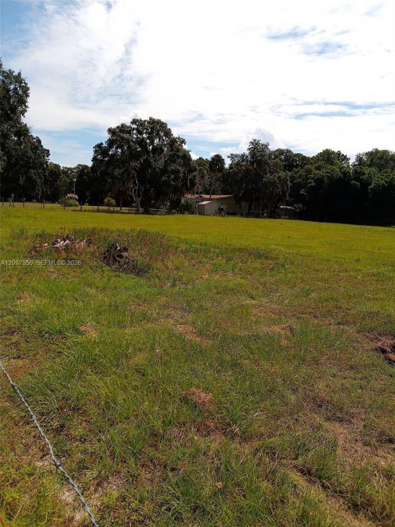 0000 Hickory Hollow Rd , Leesburg, FL 34748 Photo