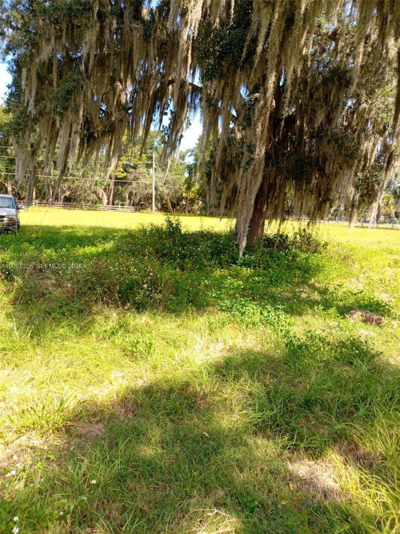 0000 Hickory Hollow Rd , Leesburg, FL 34748 Photo