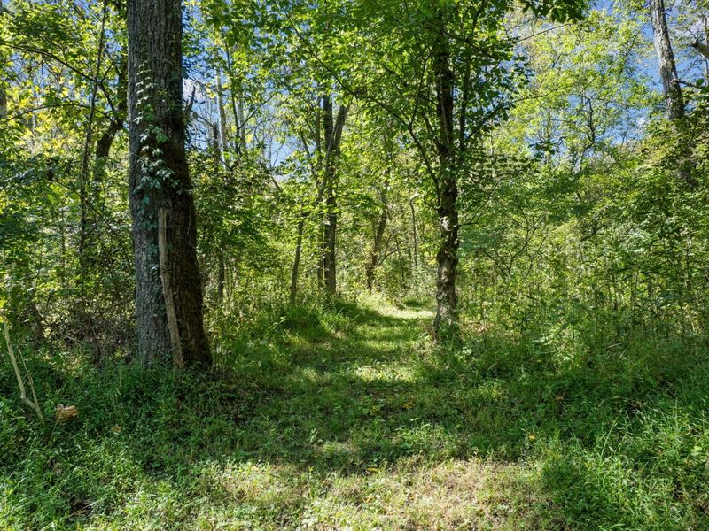 925 Lockmier Road, Augusta, KY 41002 Photo 18