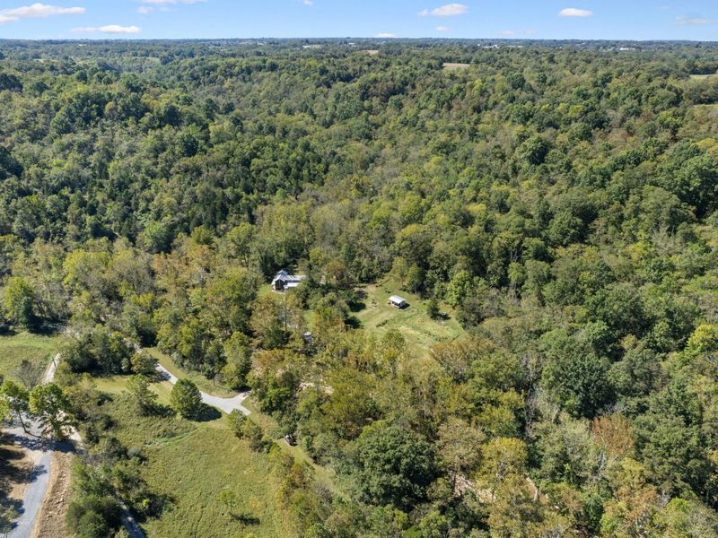 925 Lockmier Road, Augusta, KY 41002 Photo 24