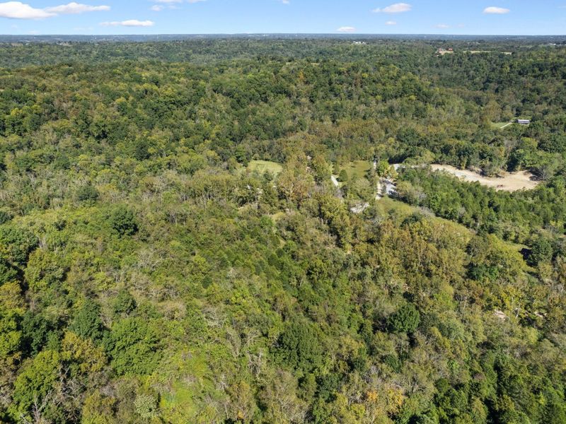 925 Lockmier Road, Augusta, KY 41002 Photo 28