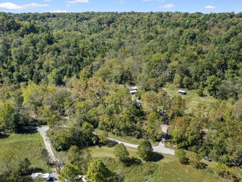 925 Lockmier Road, Augusta, KY 41002 Photo 29