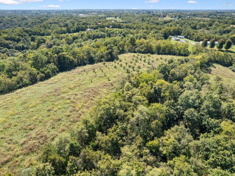 925 Lockmier Road, Augusta, KY 41002 Photo 30