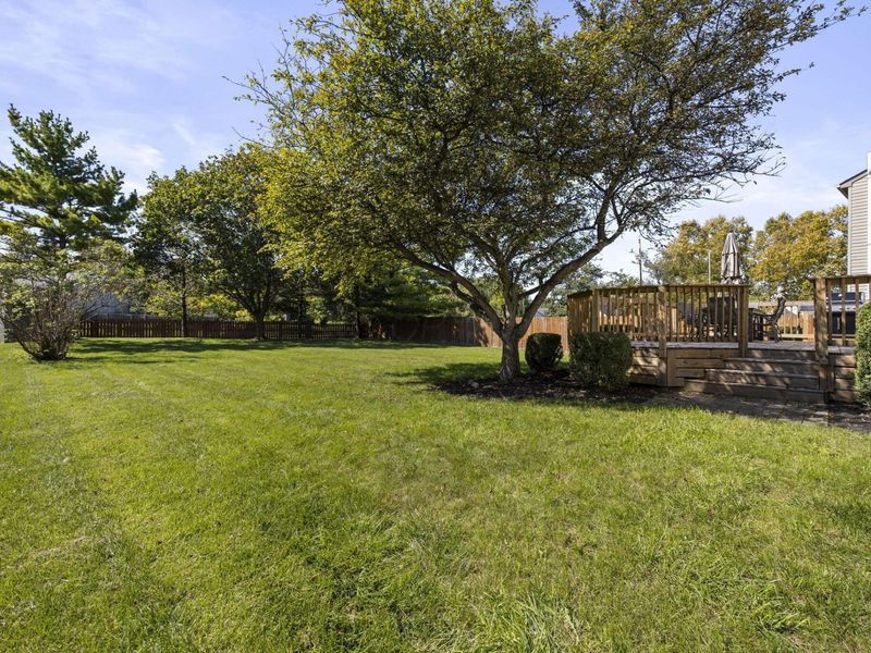 4951 Hilliard Green Drive, Hilliard, OH 43026 Photo 55