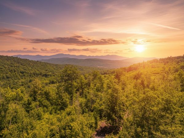 0 Oregon Road, Unit Lot #3, Lyman, NH 03585