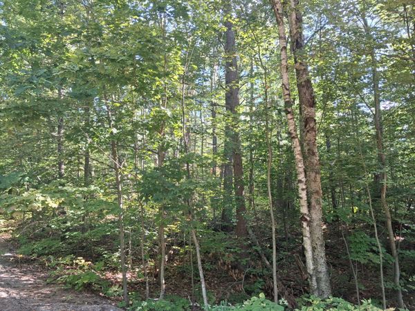 V/L Mackinaw Trail, Gaylord, MI 49735