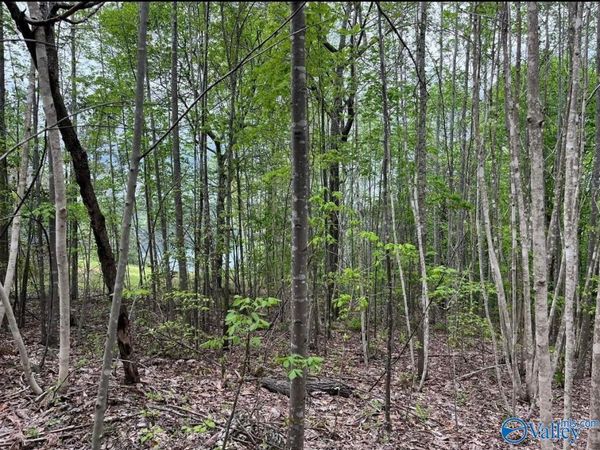 3.1+/- Brushy Creek Pointe, Arley, AL 35541