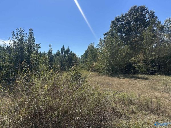 8837 Highway 72 N, Madison, AL 35758