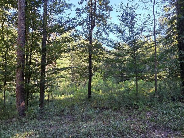 5 Pheasant Ridge, Petal, MS 39465