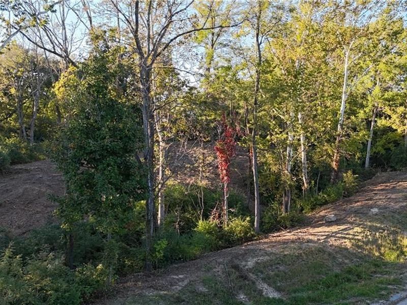 7855 Locust Grove Court, Springboro, OH 45066 Photo 4