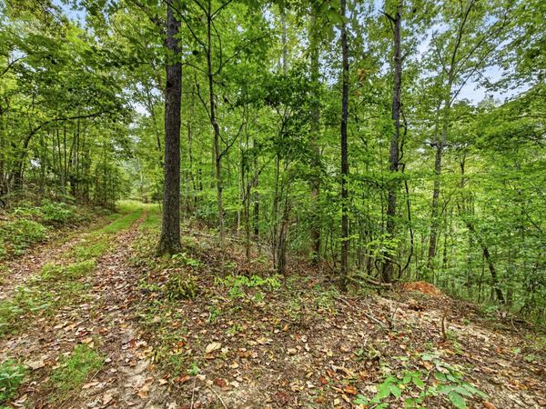 0 Timber Ridge Lane , Unit 26, Celina, TN 38551